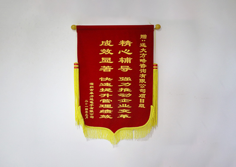 精心輔導(dǎo)，強力推動企業(yè)變革